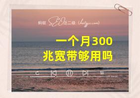 一个月300兆宽带够用吗