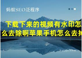 下载下来的视频有水印怎么去除啊苹果手机怎么去掉