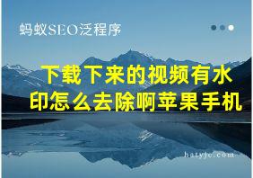 下载下来的视频有水印怎么去除啊苹果手机