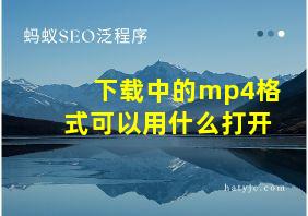 下载中的mp4格式可以用什么打开