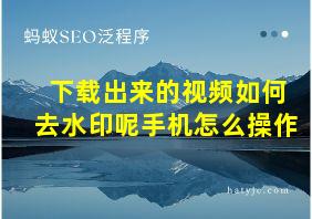 下载出来的视频如何去水印呢手机怎么操作