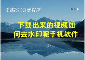 下载出来的视频如何去水印呢手机软件