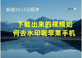 下载出来的视频如何去水印呢苹果手机