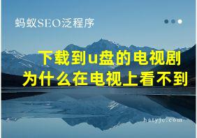 下载到u盘的电视剧为什么在电视上看不到