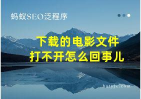 下载的电影文件打不开怎么回事儿