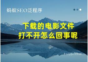 下载的电影文件打不开怎么回事呢