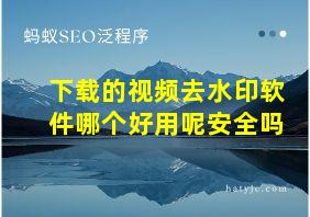 下载的视频去水印软件哪个好用呢安全吗