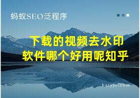 下载的视频去水印软件哪个好用呢知乎