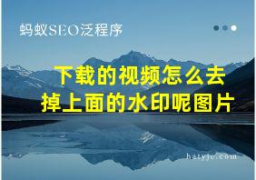 下载的视频怎么去掉上面的水印呢图片