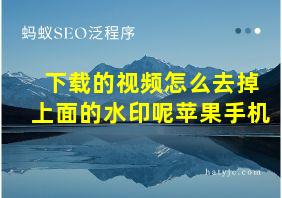 下载的视频怎么去掉上面的水印呢苹果手机