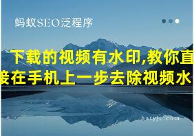 下载的视频有水印,教你直接在手机上一步去除视频水印