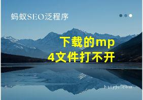 下载的mp4文件打不开