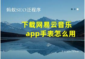 下载网易云音乐app手表怎么用