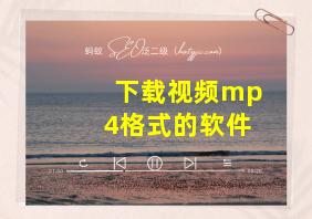 下载视频mp4格式的软件