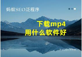 下载mp4用什么软件好