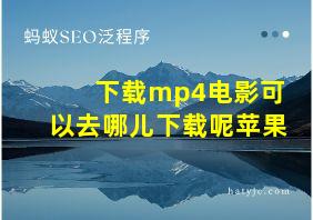 下载mp4电影可以去哪儿下载呢苹果