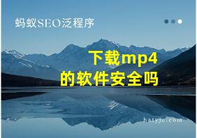 下载mp4的软件安全吗