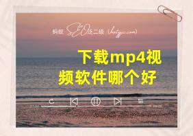 下载mp4视频软件哪个好