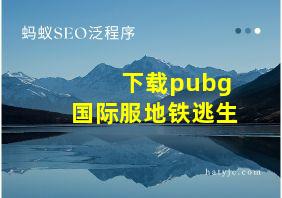 下载pubg国际服地铁逃生