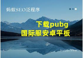 下载pubg国际服安卓平板