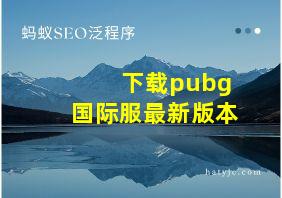 下载pubg国际服最新版本