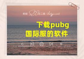 下载pubg国际服的软件