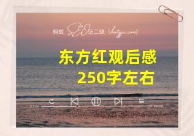 东方红观后感250字左右