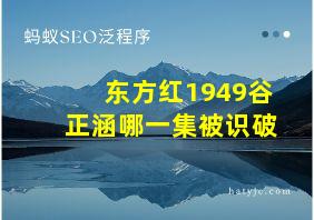 东方红1949谷正涵哪一集被识破