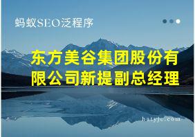 东方美谷集团股份有限公司新提副总经理