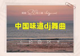 中国味道dj舞曲