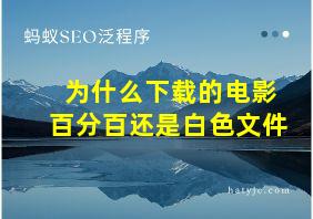 为什么下载的电影百分百还是白色文件