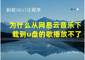 为什么从网易云音乐下载到u盘的歌播放不了