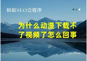 为什么动漫下载不了视频了怎么回事