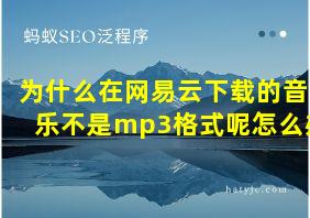 为什么在网易云下载的音乐不是mp3格式呢怎么办