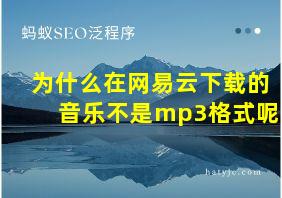 为什么在网易云下载的音乐不是mp3格式呢