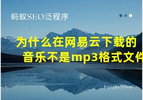 为什么在网易云下载的音乐不是mp3格式文件