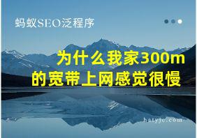 为什么我家300m的宽带上网感觉很慢