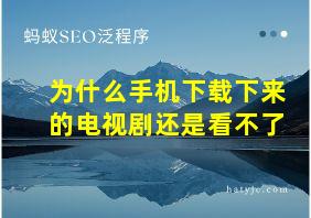 为什么手机下载下来的电视剧还是看不了