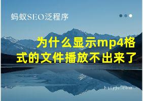 为什么显示mp4格式的文件播放不出来了