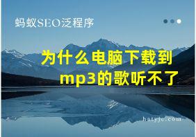 为什么电脑下载到mp3的歌听不了