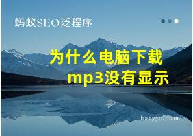 为什么电脑下载mp3没有显示