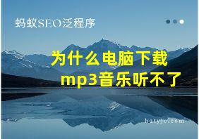 为什么电脑下载mp3音乐听不了