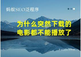 为什么突然下载的电影都不能播放了