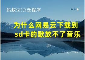 为什么网易云下载到sd卡的歌放不了音乐