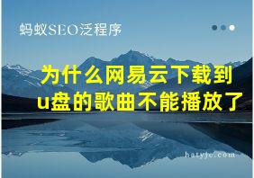 为什么网易云下载到u盘的歌曲不能播放了