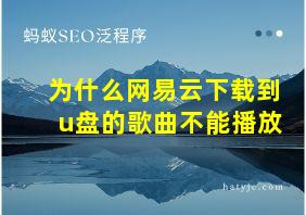 为什么网易云下载到u盘的歌曲不能播放