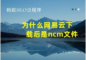 为什么网易云下载后是ncm文件