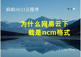 为什么网易云下载是ncm格式