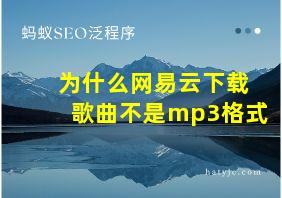 为什么网易云下载歌曲不是mp3格式