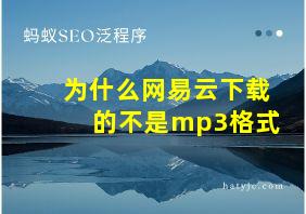 为什么网易云下载的不是mp3格式